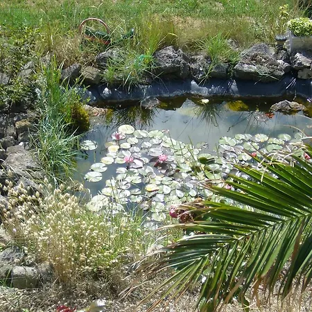 Angelo Sainte-Marie-du-Mont (Manche)