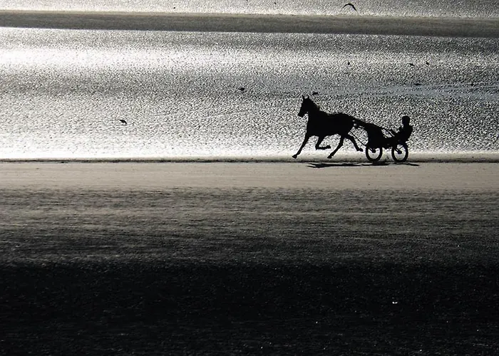 Angelo * Sainte-Marie-du-Mont (Manche)