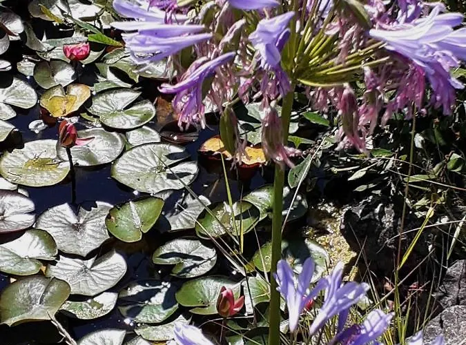 Angelo Apartment Sainte-Marie-du-Mont (Manche)