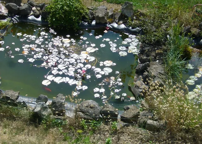 Apartment Angelo Sainte-Marie-du-Mont (Manche)